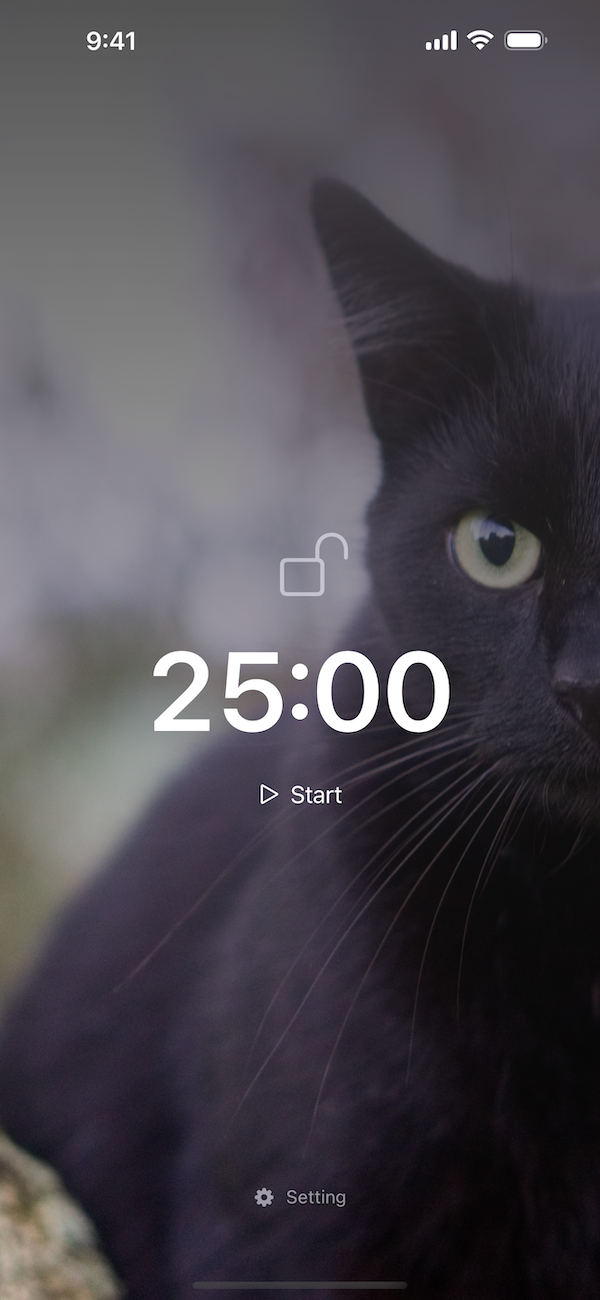 Home Screen